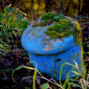 Bite d'amarrage perdue dans la nature - Belgique  - collection de photos clin d'oeil, catégorie clindoeil